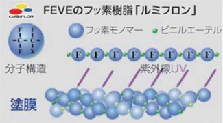 セルフッ素コートの秘密