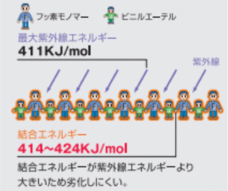 セルフッ素コートの秘密