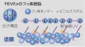 セルフッ素コートの秘密